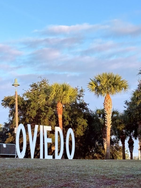 Photo - 105 Violet Vine Ln