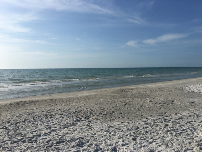 Photo - 702 Lyndhurst St Unidad 823