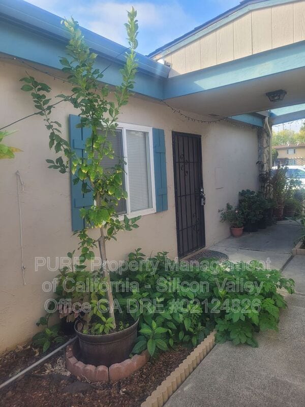 Photo - 900 Sobrato Dr