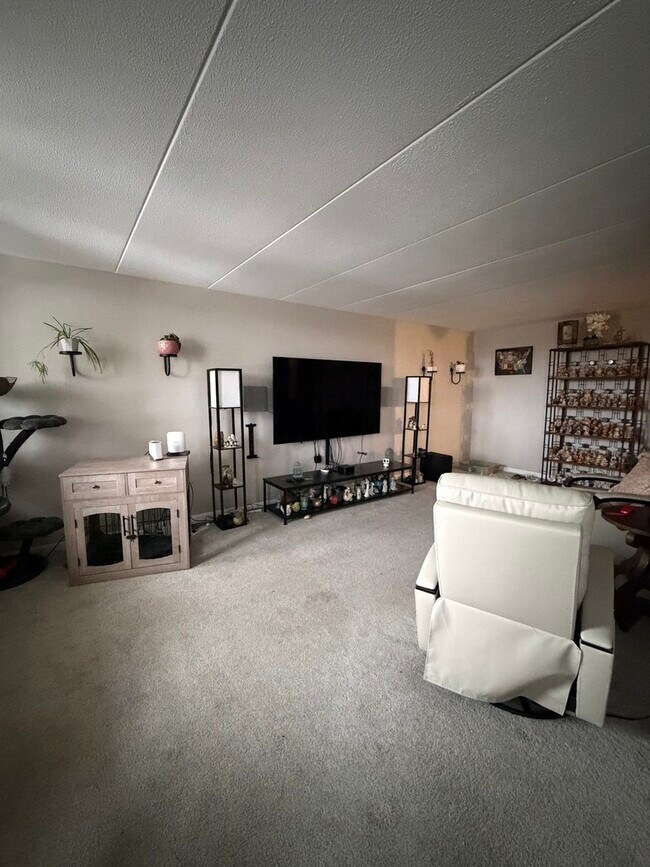 Photo - 225 S Rohlwing Rd