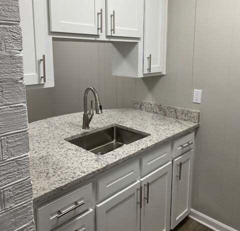 Modern Faucet and Undermount Stainless Sink