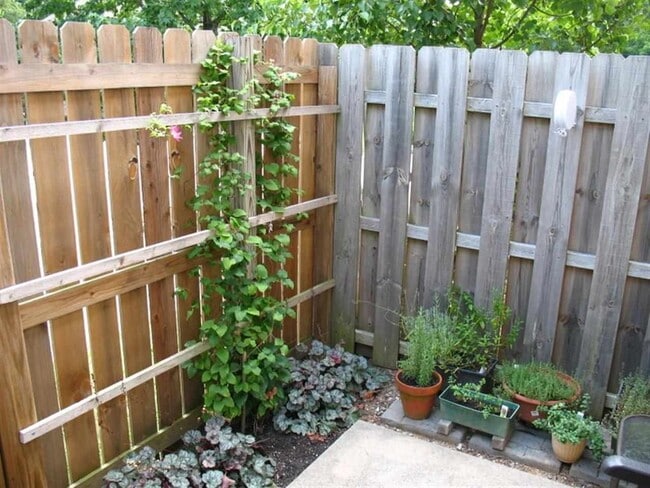 Photo - Available July 31st, 2026!