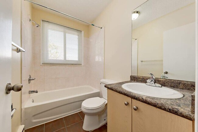 Photo - Steven Manor