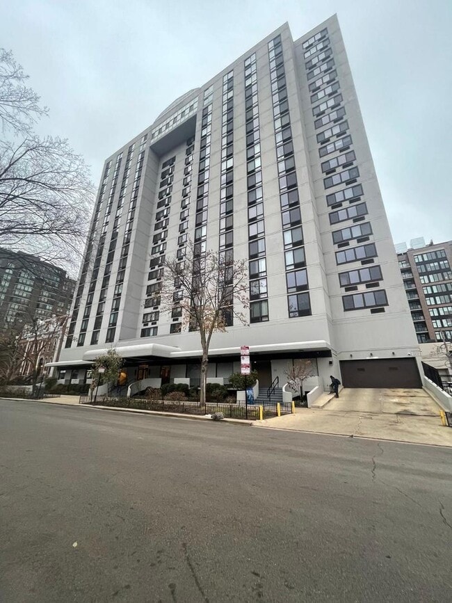 Photo - 1221 N Dearborn St Condo Unit 1409N