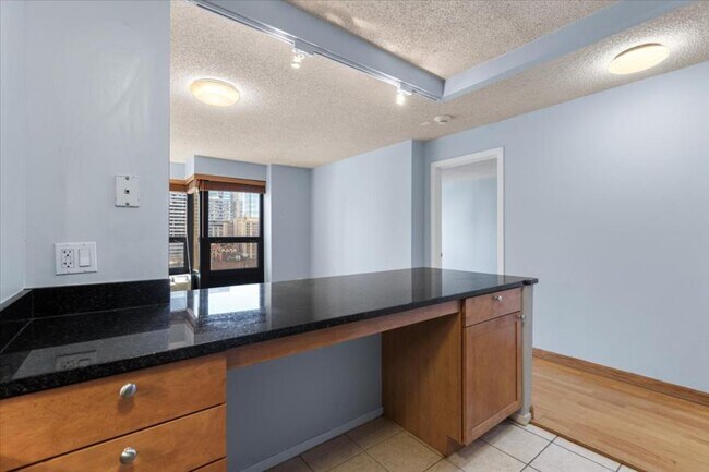 Photo - 1 bedroom in Chicago IL 60611 Unidad 2003