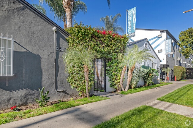 Photo - Hollywood Off-Vine