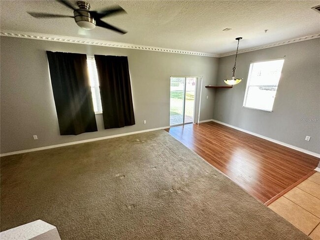 Photo - 15667 Boggy Oak Cir