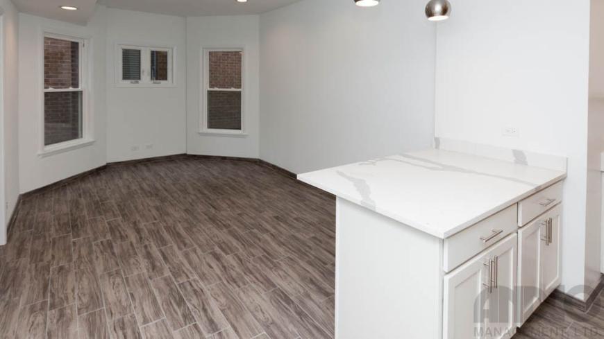1 bedroom in Chicago IL 60657 - 1 bedroom in Chicago IL 60657 Condo Unit 3B