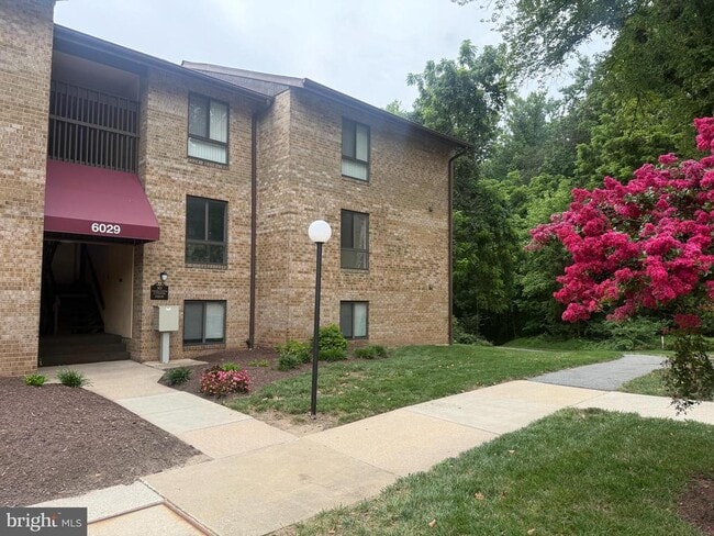 Building Photo - 6029-4 Majors Ln Unit 4 C16 Rental