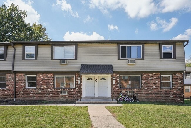 Photo - Blackwood Falls