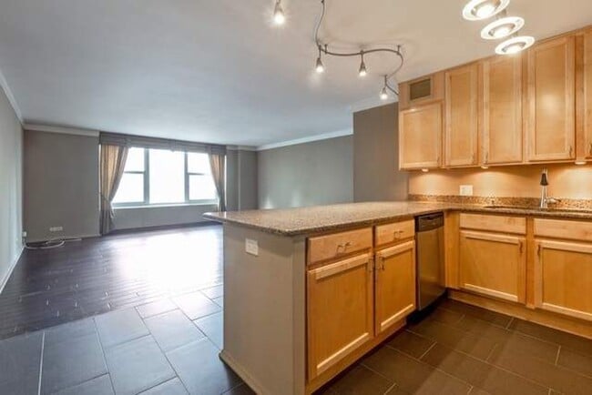 Photo - 777 N Michigan Ave Unit 1609