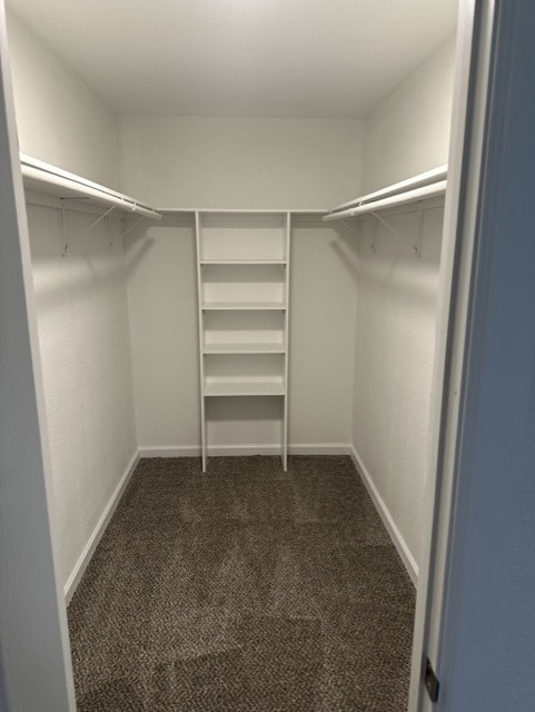 B1P Premium Master closet