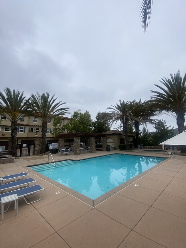 Association Pool and Spa Area