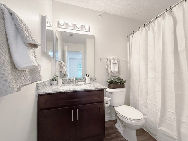 Bathroom Area