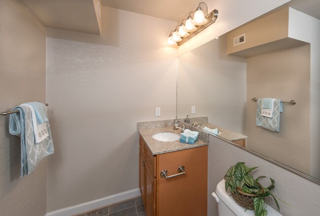 Oasis Apartment Homes Bathroom