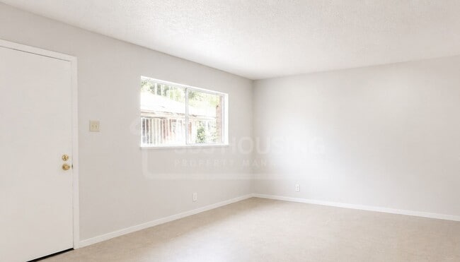 Photo - Large Move-In Ready Studio Apartment Near Kirtland AFB Unit 10