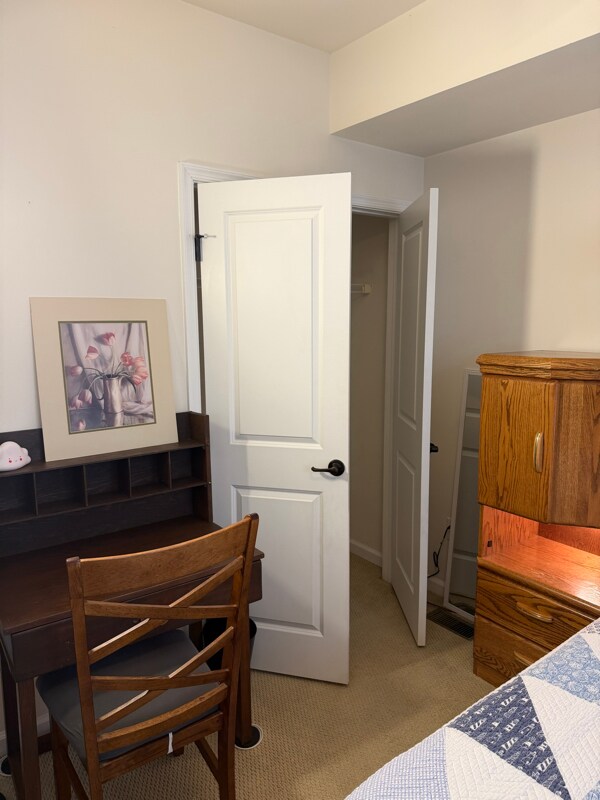 Photo - 25989 Braided Mane Ter