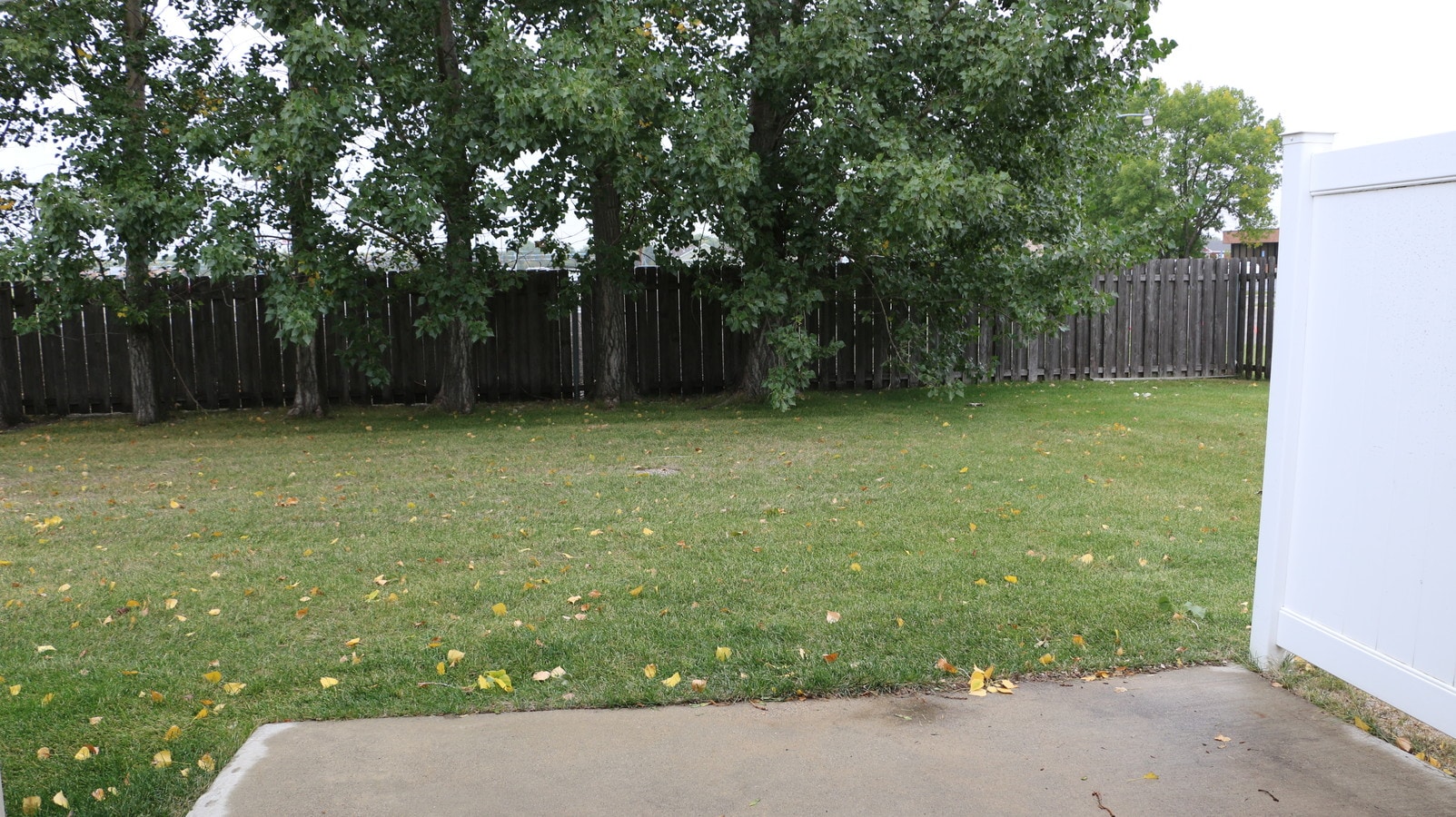 Photo - Belsly VII Townhomes