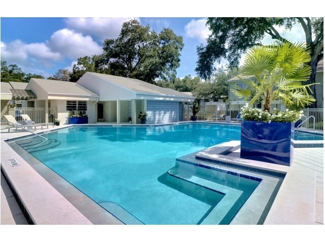 Brand New Pool