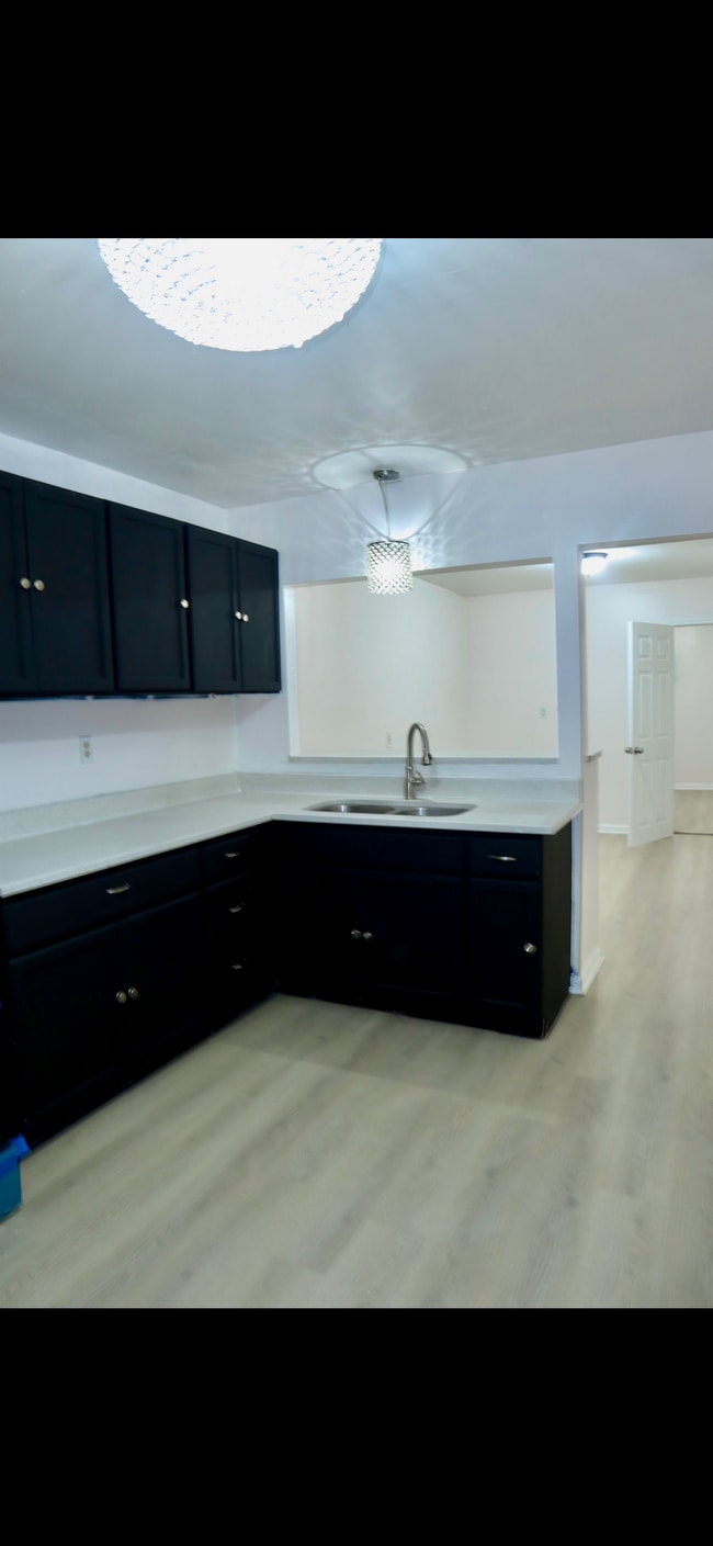 Photo - 2314 S Hoyne Ave Unit 2314 S. Hoyne Ave