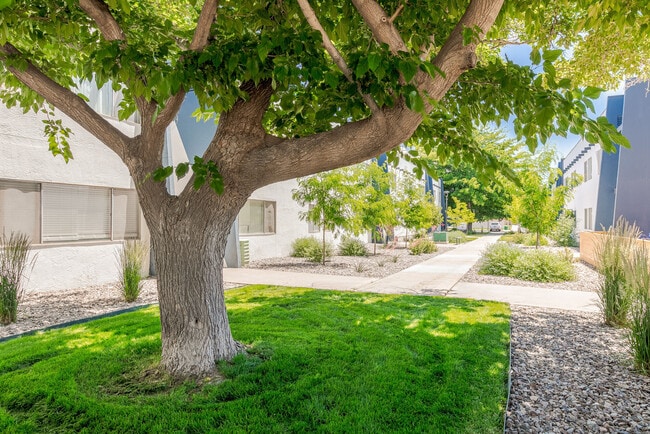 Photo - Valley Apartments