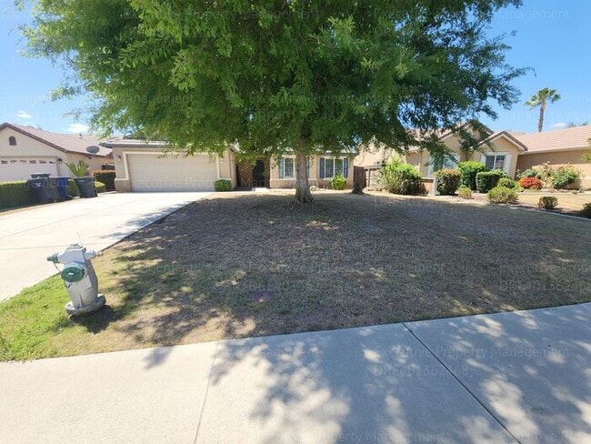 5 bedrooms/ 2 baths Location Olive Dr/ Old... - 5 bedrooms/ 2 baths Location Olive Dr/ Old... House