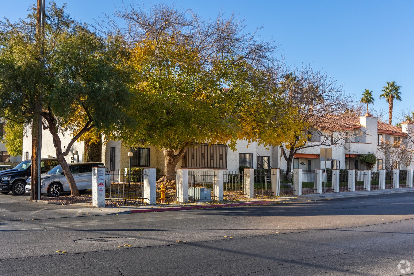 Primario - La Cuesta