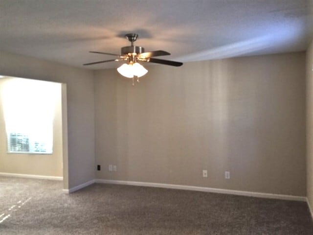 Photo - 1228 Hampton Park Dr