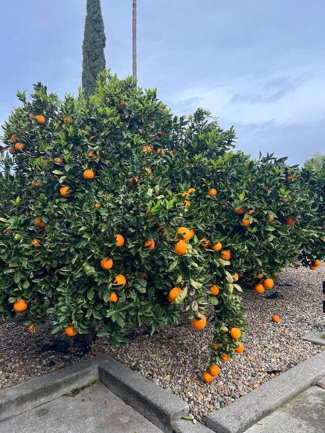 Photo - 381 Spindrift Way