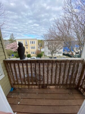 Photo - 4442 Washington St Unit #3