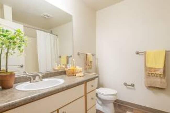 Photo - Buckman Terrace