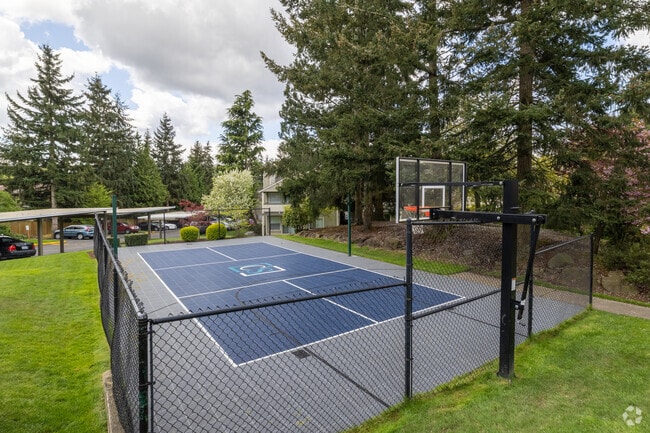 Canyon Springs - Sport Court