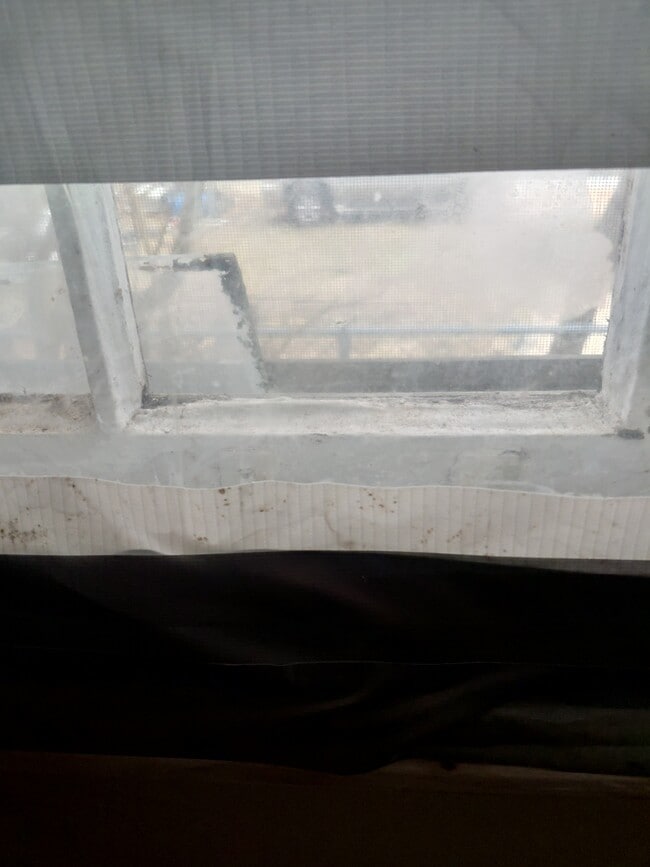 Photo - 311 W Genesee St