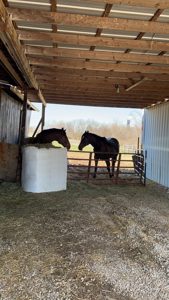 Photo - 1557 Clifton Rd