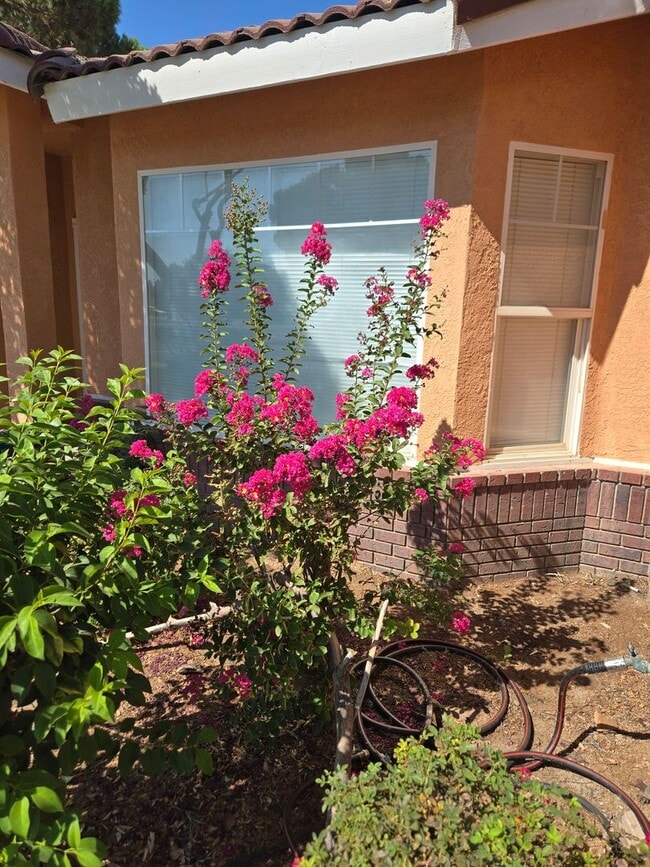 Photo - Three bedroom, fresh paint and pool!