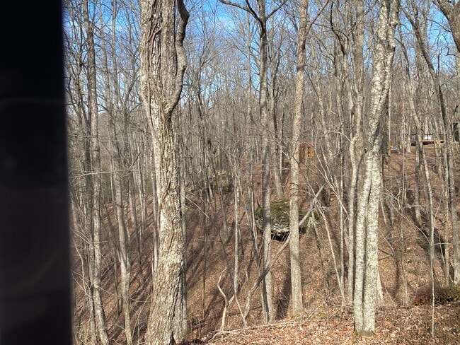 Photo - 178 High Rock Ct