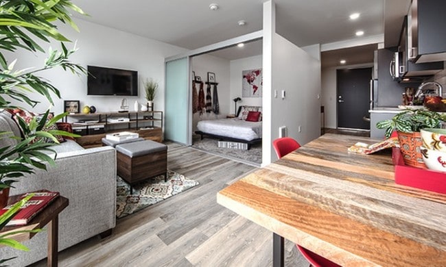 Open 1 bedroom