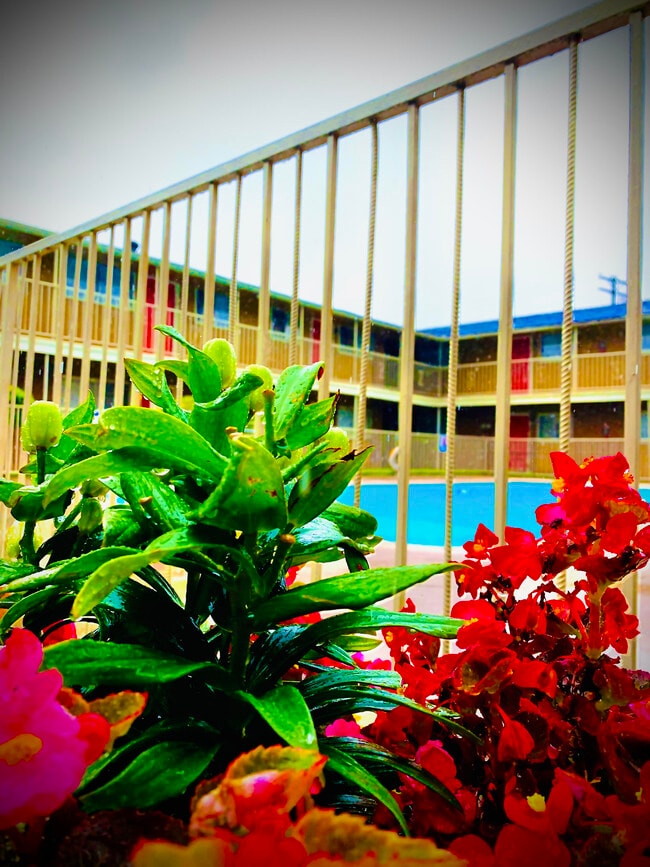 Newport Granada Apartments