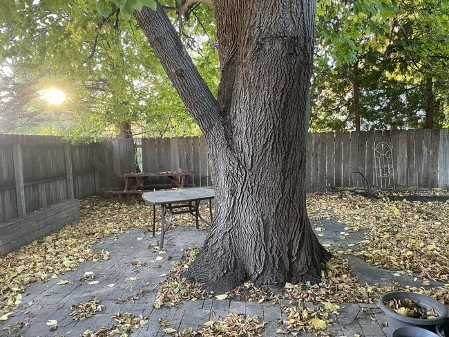 Photo - 1740 Park St