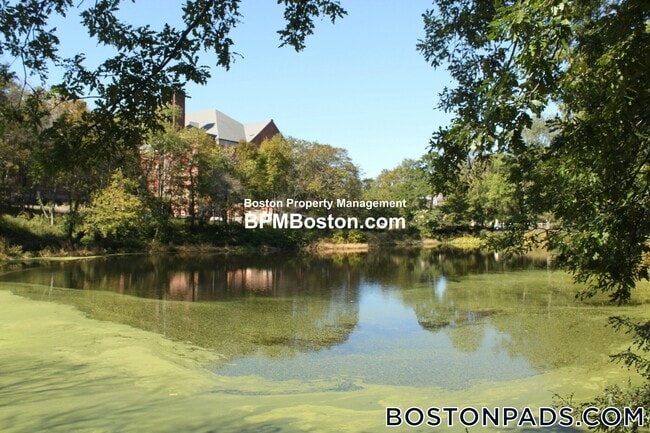 Photo - 10 Merrymount Rd Unit 104