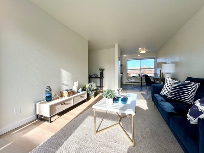 Photo - The Larkspur