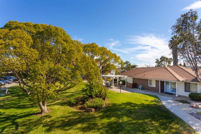 Photo - Nestor Regency