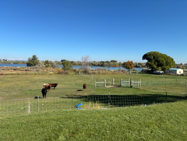 Photo - 384 E Hwy 81