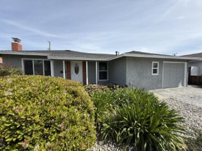 Building Photo - Single level 3 bedroom, 2 bath Home in the Cambrian Park Neighborhood. Great Schools. Close to Lo...