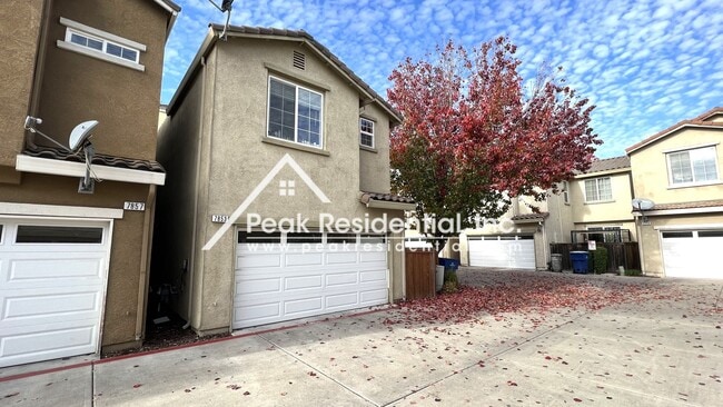 Photo - 7853 Monaldo Walk