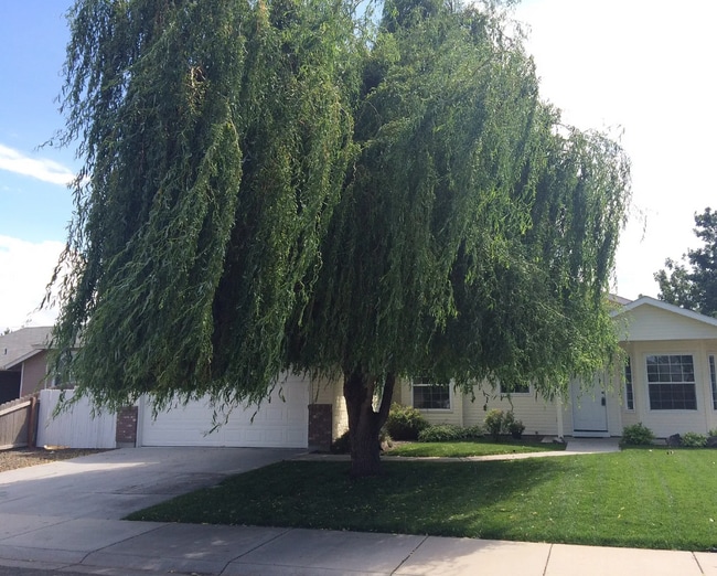 Building Photo - 497 E Baldwin St