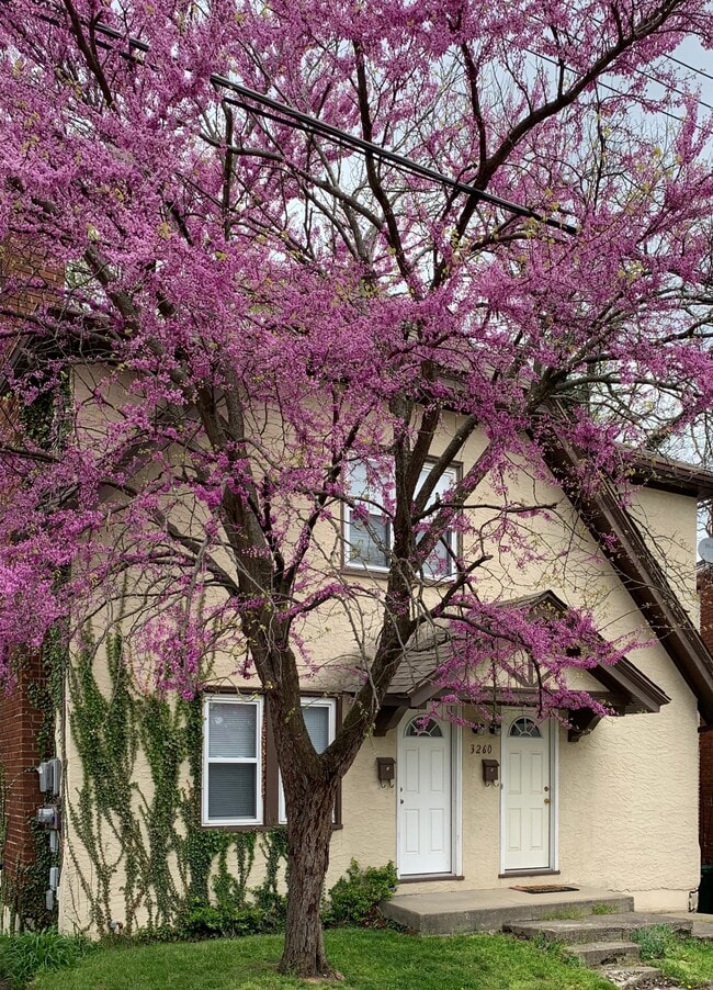 Photo - 3260 Berwyn Pl Unidad 1