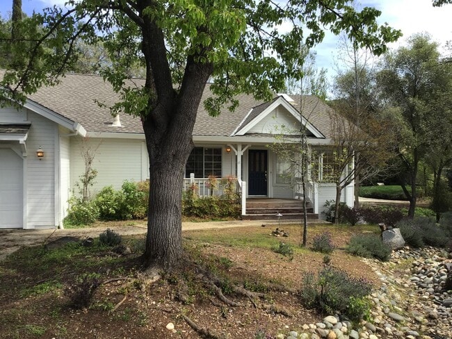 Building Photo - Beautiful Lake Wildwood Home on Cul-de-sac