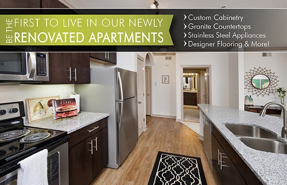 Studio Apartments For Rent In Atlanta Ga Forrent Camden Midtown Atlanta