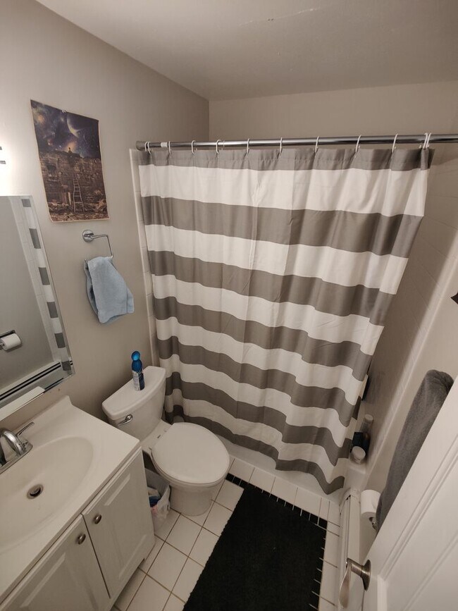 Photo - Cozy 2 bed, 1 bath in Central Boulder. Unit 2401 Walnut Street,  4